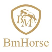 bm_horse-1